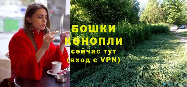 apvp Белокуриха