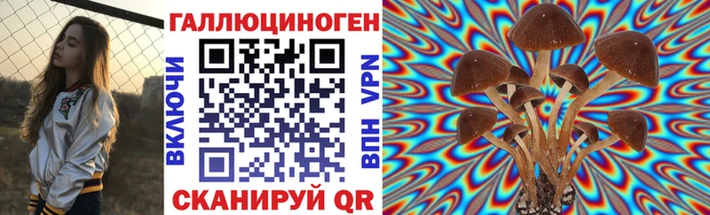 Галлюциногенные грибы Psilocybine cubensis  Купить  Сретенск 